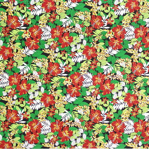 nCAt@ubN  nCrXJX fab-2925BK y4[h܂Ń[։z