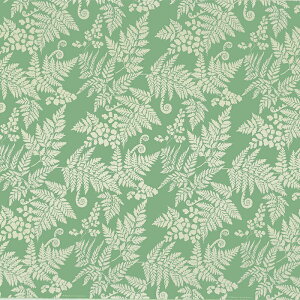 ハワイアンファブリック きみどり パラパライ fab-2932LG 【4ヤードまでメール便可】