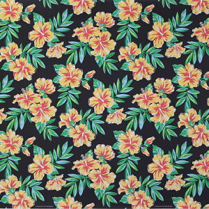 nCAt@ubN  nCrXJX fab-2933BK y4[h܂Ń[։z