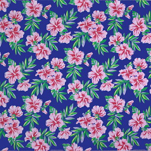 nCAt@ubN  nCrXJX fab-2933BL y4[h܂Ń[։z