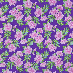 nCAt@ubN  nCrXJX fab-2933PP y4[h܂Ń[։z