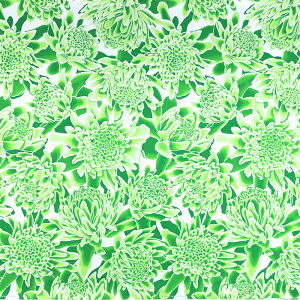 nCAt@ubN  g[`WW[ fab-2939GN y4[h܂Ń[։z