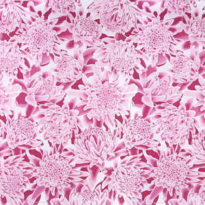 nCAt@ubN sN g[`WW[ fab-2939Pi y4[h܂Ń[։z