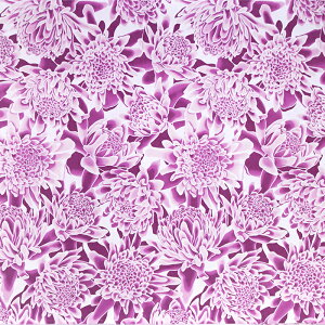 nCAt@ubN  g[`WW[ fab-2939PP y4[h܂Ń[։z