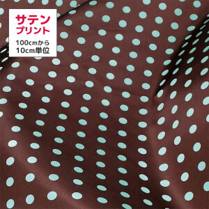 y10ȏォzTen hbg uE 10cmP fab-H0013-A1 mvg120cmny300cm܂Ń[։z