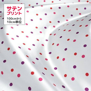 y10ȏォzTen hbg _hbg sNn fab-H0013-RS-Pi mvg120cmny3[g܂Ń[։z