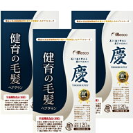 【1袋あたり約2,450円!!】ヘアグラン　健育の毛髪／90日分　錠剤サプリ／稲由来・植物性ケイ素 RB1シリカ…