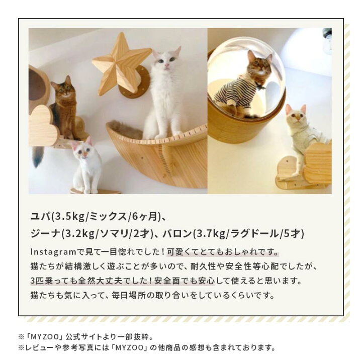 楽天市場】MYZOO マイズー LUNA+STAR セット キャットステップ 