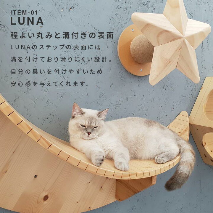 楽天市場】MYZOO マイズー LUNA+STAR セット キャットステップ 