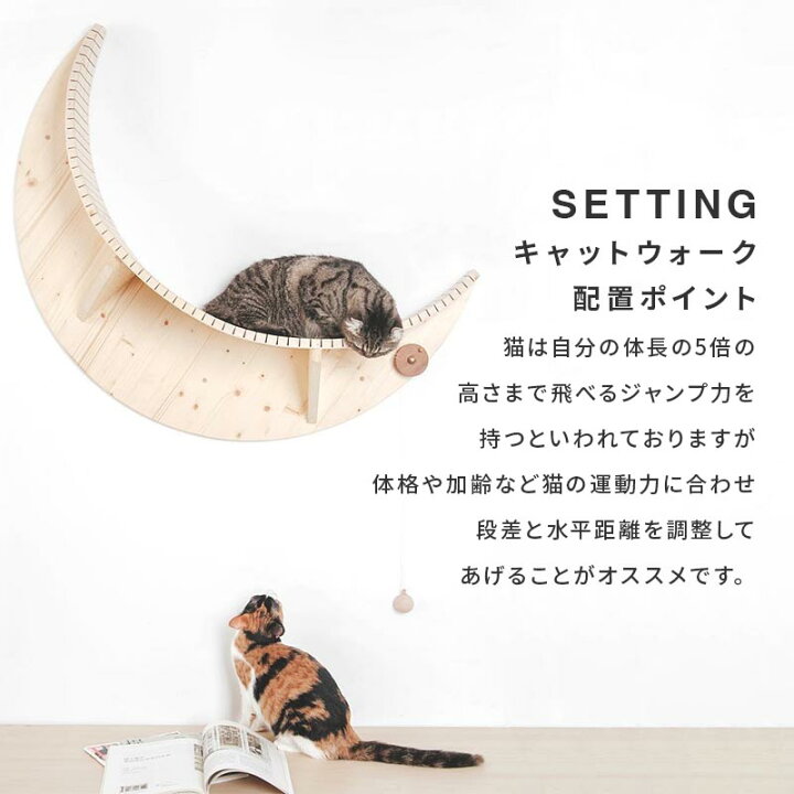 楽天市場】MYZOO マイズー LUNA+STAR セット キャットステップ 