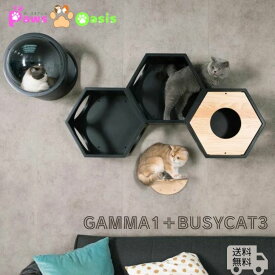 MYZOO マイズー 六角ハウス3個+宇宙船GAMMブラック セット キャットステップ おしゃれ キャットウォーク かわいい 猫ベット ねこハウス ネコハウス 隠れ家 猫家具