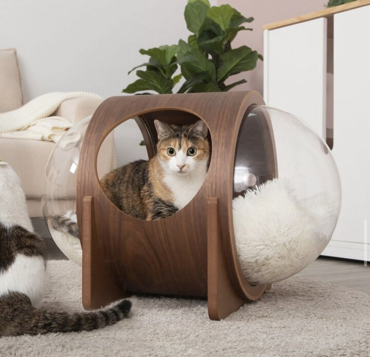 楽天市場】MYZOO マイズー 宇宙船ALPHA キャットハウス キャット 
