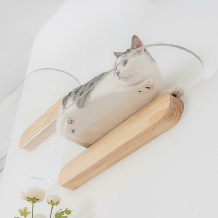 楽天市場】MYZOO マイズー キャットステップ おしゃれ OBLONG オブ 