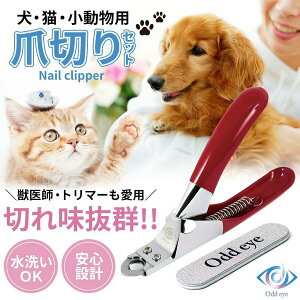 Lpܐ؂ pܐ؂ ybg lCg}[ Zbg  v XeX M`^Cv {uh ybgp ܂₷t bt g}[ Oddeye IbhAC