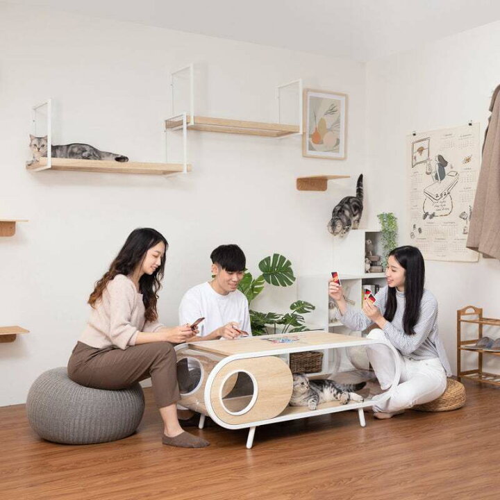 楽天市場】MYZOO マイズー AVENUE アベニュー CLEAR クリア アクリル  