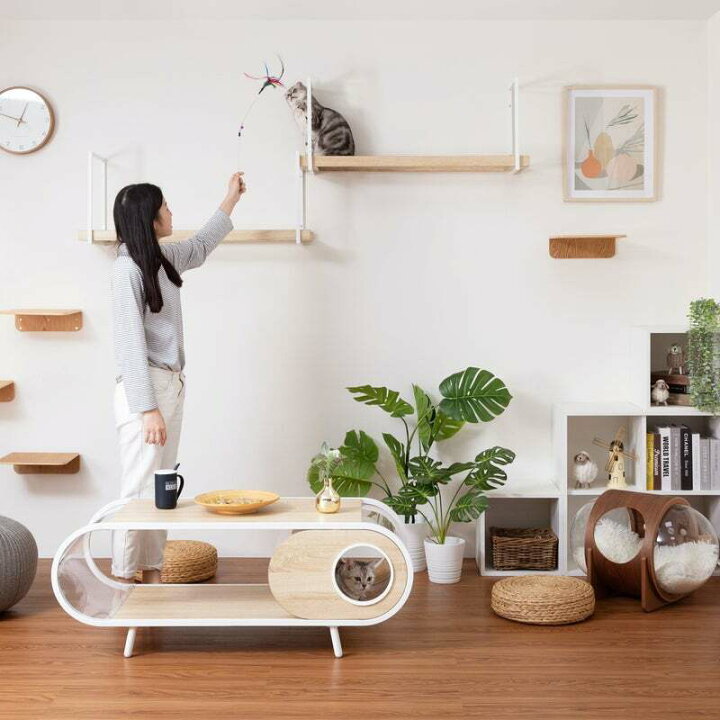 楽天市場】MYZOO マイズー AVENUE アベニュー CLEAR クリア アクリル  