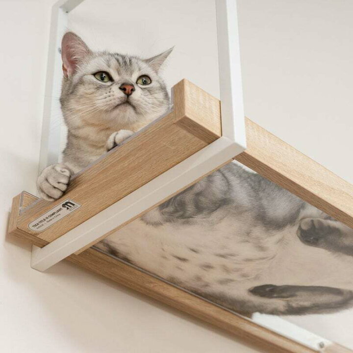 楽天市場】MYZOO マイズー AVENUE アベニュー CLEAR クリア アクリル  