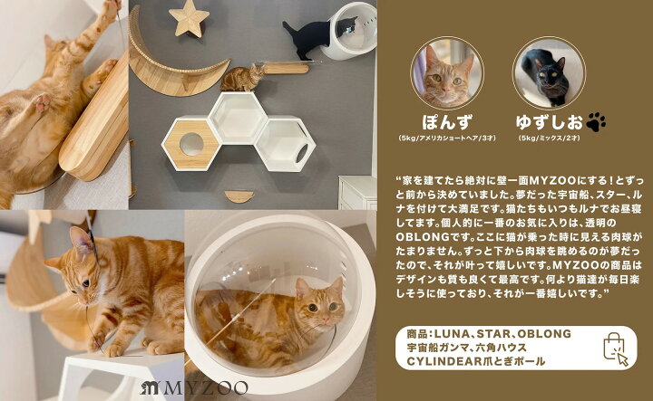 楽天市場】MYZOO マイズー キャットステップ おしゃれ OBLONG オブ  