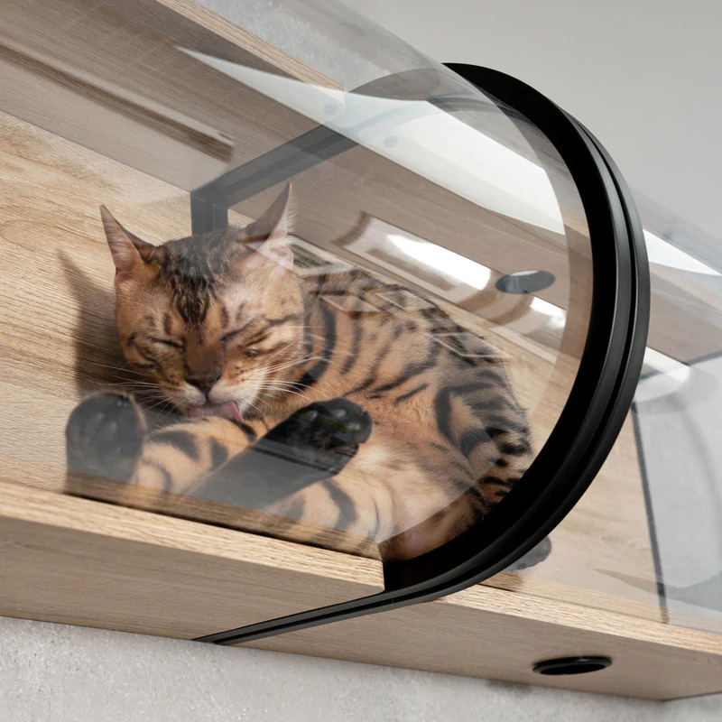 最大77%OFFクーポンMYZOO マイズー TUNNEL 多用途ステップ キャットステップ キャットウォーク 壁 壁取り付け おしゃれ 肉球も見える  キャットウォーク 透明 かわいい トンネル キャットインテリア 猫用品