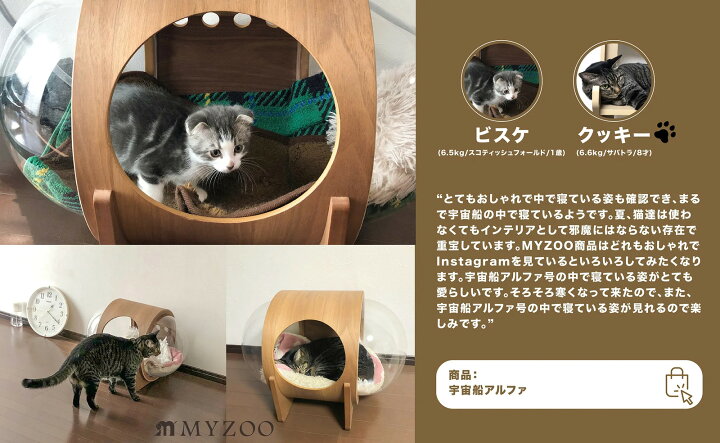 楽天市場】MYZOO マイズー 宇宙船ALPHA キャットハウス キャット 