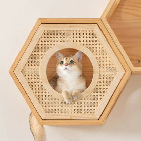 MYZOO マイズー 六角ハウスカバー 自然の屏 COVER RATTAN キャットウォーク かわいい 壁 キャットステップ おしゃれ 透明 肉球も見える 壁取り付け 多用途ステップ キャットインテリア