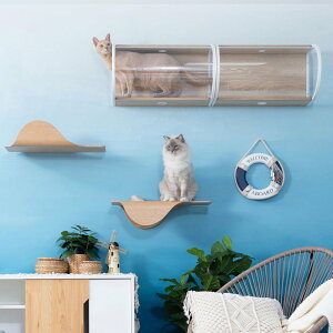 MYZOO }CY[ LbgEH[NZbg TUNNEL +STINGRAY LbgEH[N 킢