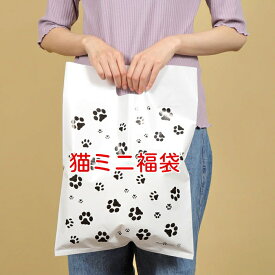 猫ミニ福袋 猫好きさんお楽しみセット ペン ポーチ ボールペン 巾着 メモ帳 ふせんなど5点セット 猫柄 お楽しみ袋 プチギフト