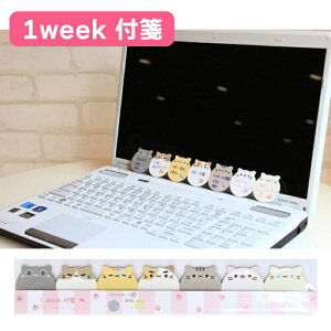 yԗDǃVbv܁zL ӂ N[V 1weekt  1T lR