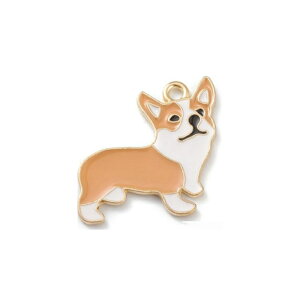 e5 R[M[ ANZT[p[c  Gi y_g Xgbv nhCh `[