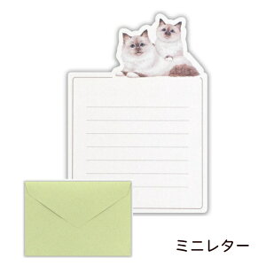 Minou ~j^[iVsƃjij  Gkr[ ^[Zbg