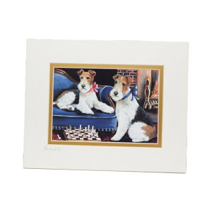 Suzanne C[tHbNXeAvgA[g XUk G 