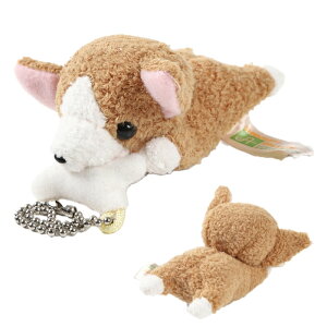 ςCLUB 񂱃L[z_[iR[M[j L[`F[ EFVR[M[yu[N