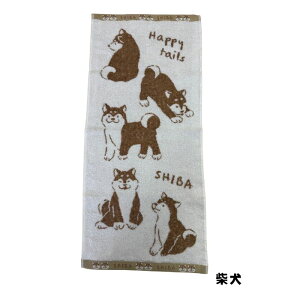 犬柄 フェイスタオル シュナウザー ビションフリーゼ 柴犬 シュガーフェイス 犬雑貨