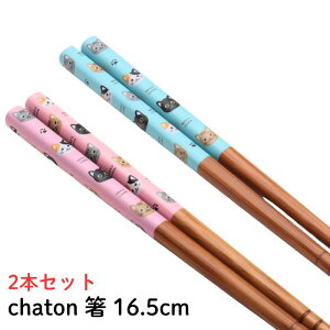 chaton XX| 16.5cm u[sNyAZbg L ˂G { H VR 