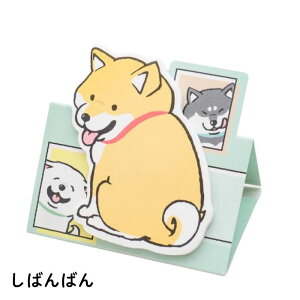 ΂΂ X^ht ӂ 킢 Č fXNp X^ht  ČObY