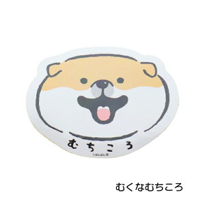 ΂΂ XebJ[ Č ނȂނ ׋CȂ΂΂  ObY SHIBANBAN