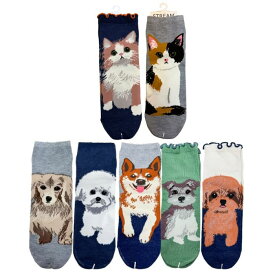 犬柄 婦人ロークルーソックス トイプードル シュナウザー ビションフリーゼ 柴犬 三毛猫 ふさ猫 ダックスフンド 靴下 アシスト