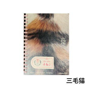 LpX 炩q˂̃p₳ ՂɂՂɎq˂ \tgOm[gA6TCY  L Ƃ `g OєL LWg L Tog RN