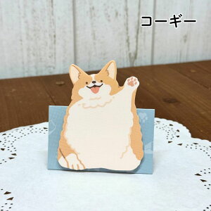 ́[!t  ӂ R[M[ VoCk Č  킢̂ӂ Xe[Vi[ [ 땶