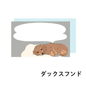 ~gC bZ[WJ[h@ gCv[h ~jJ[h t _bNXth R[M[ rVt[[ 