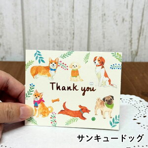 HAC MTỸ~jJ[h O[eBOJ[h  L R[M[ Č pO gL