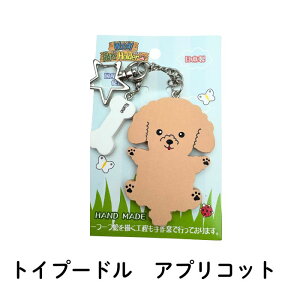 Č ybgz_[ L[z_[ ObY L[`F[ ؐ R[M[   ViEU[ rVt[[ v[h