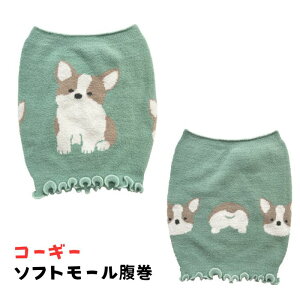 Aj}\tg[ \tg[pc ViEU[ EFV R[M[   jbgV[c fB[X wlp