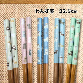 わんず箸 22.5cm 食洗機対応 日本製 柴犬 コーギー シュナウザー ビションフリーゼ チワワ パグ プードル 犬柄 竹
