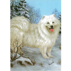 TGh bZ[WJ[h Suzanne O[eBOJ[h NX}XJ[h  G