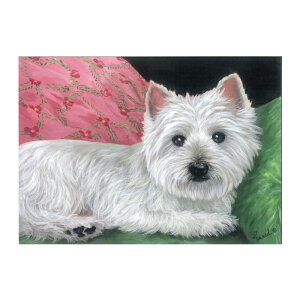 AJA Suzanne EGXgnChzCgeAJ[h West Highland Thinking of You Card O[eBOJ[h