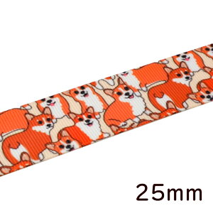 1m 25mm@R[M[ OO{ EFVR[M[yu[N  Aj}