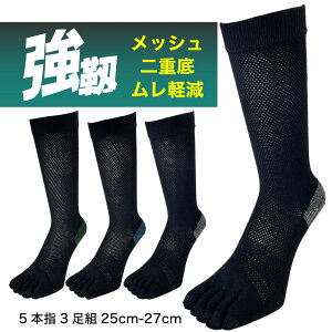 ܖ{w\bNX Y   jɂ 6g Ȃ x bV 5{w d ⋭ SC Ɨp 25-27cm