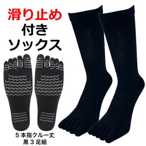 yP2{zyő500~ItN[|zܖ{w\bNX Y ׂ~  3Zbg 24.5cm-27cm X|[c ƌC