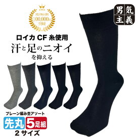 靴下 メンズ 5足セット 消臭 ロイカ クルー丈 ソックス カラーアソート 紳士 ビジネス ワーク 在庫処分 セール 売り尽くし
